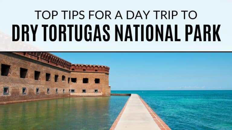 Top Tips For a Day Trip To Dry Tortugas National Park