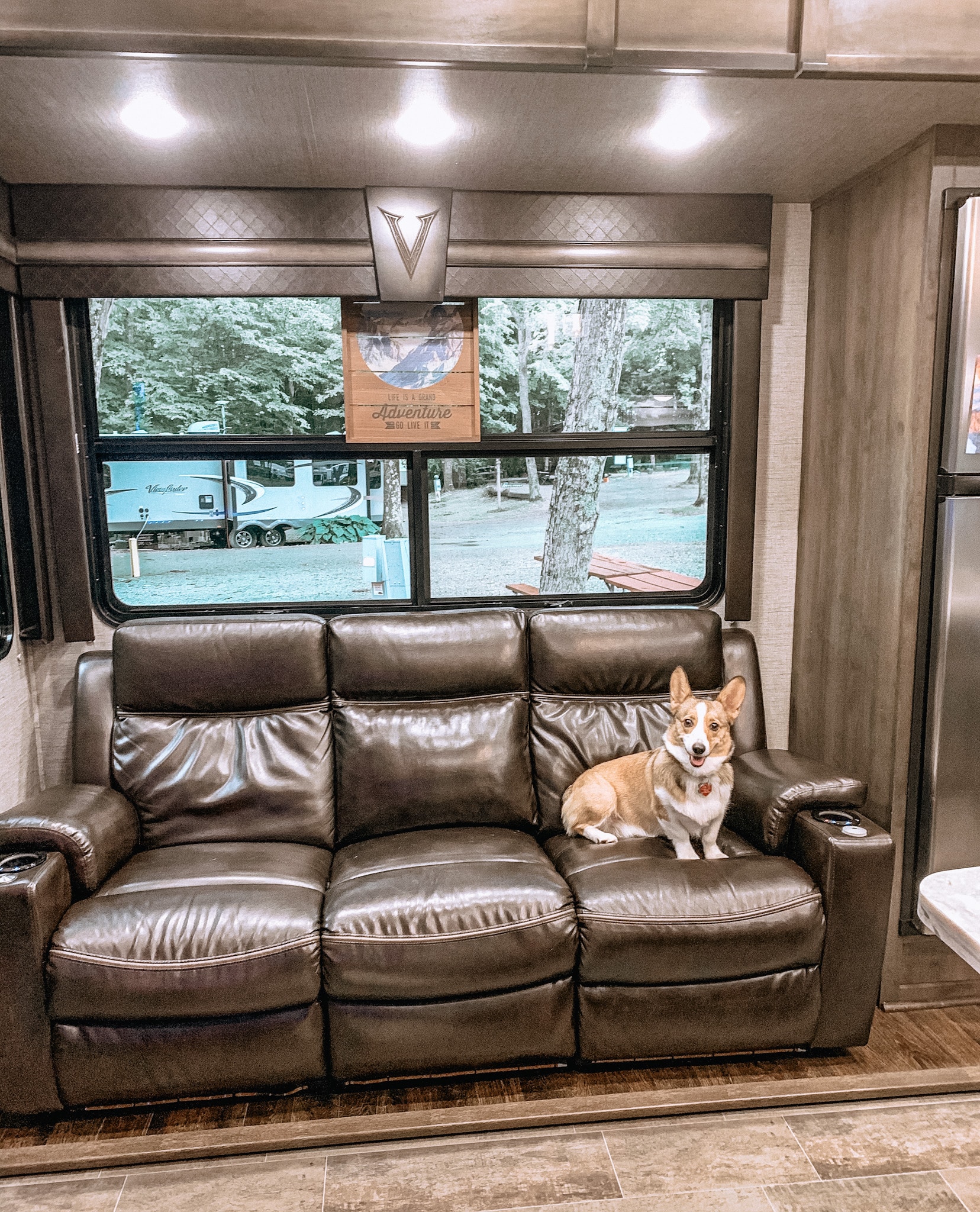 dog sitting on couch in rv