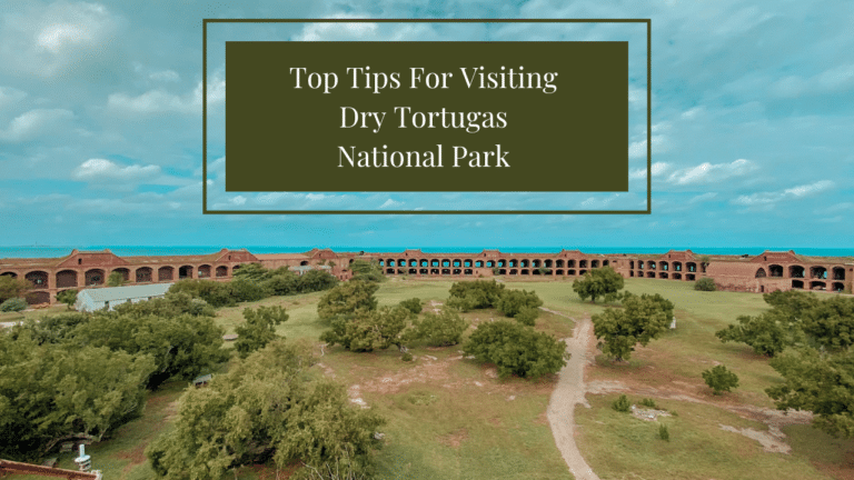 Top Tips For a Day Trip To Dry Tortugas National Park