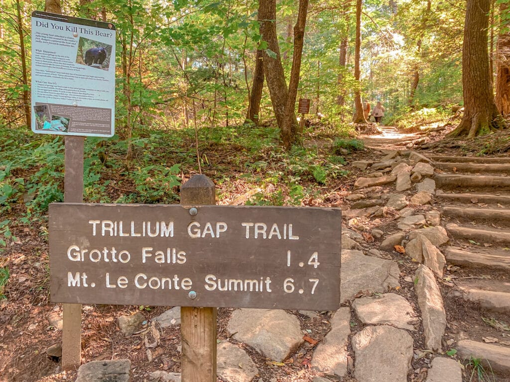 Trillium Gap Trail trail head sign