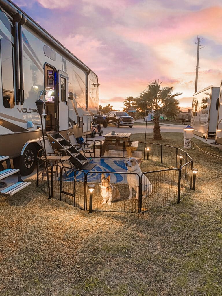 RV dog fence setup with 2 dogs at sunset