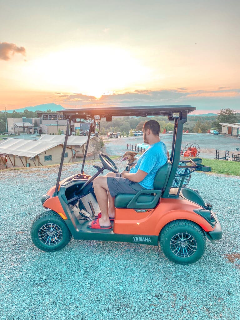 man and dog sitting on golf cart looking at sunset