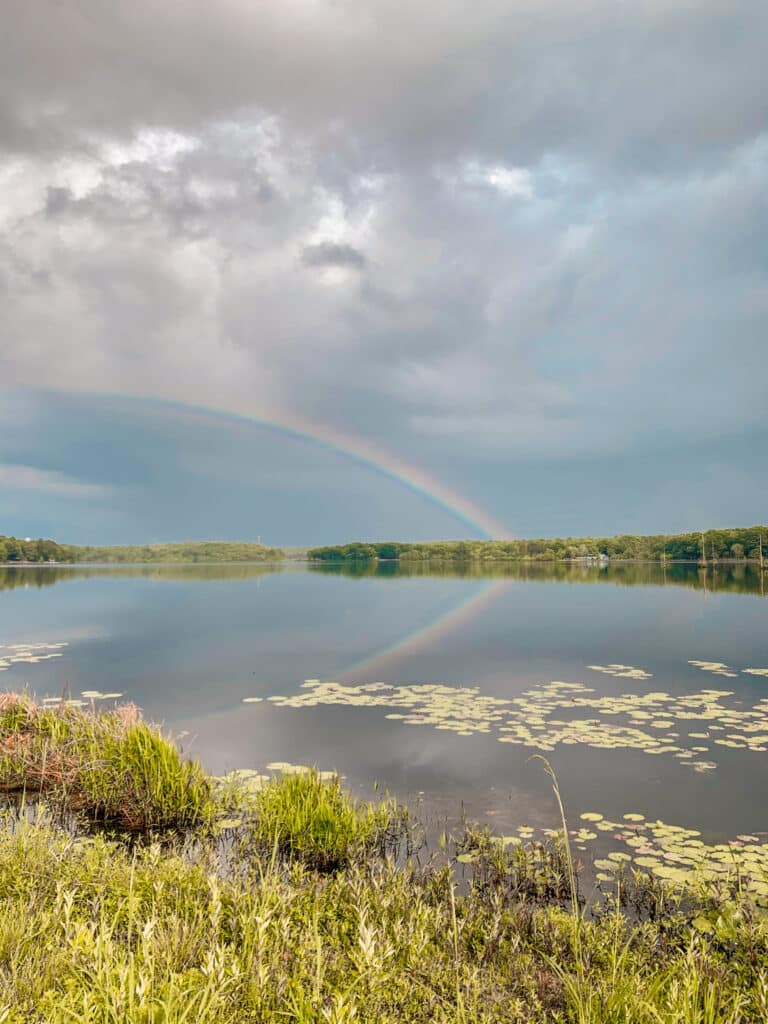 rainbow over lake with lily pads after storm