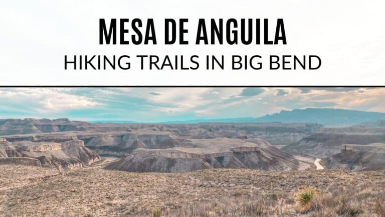 Mesa de Anguila – Hiking Trails in Big Bend National Park