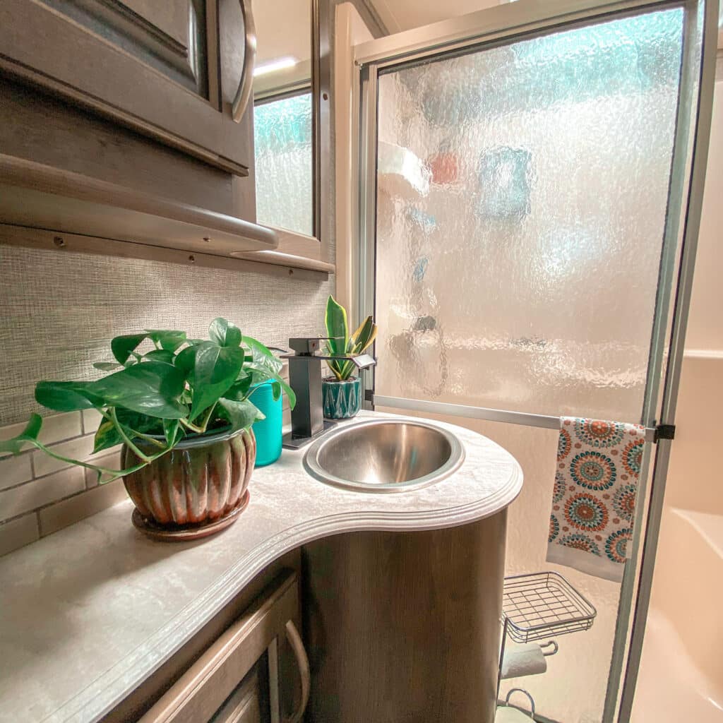 A pothos and snake plant sitting on a bathroom counter in an RV with sunlight streaming in from the sky light in the shower.