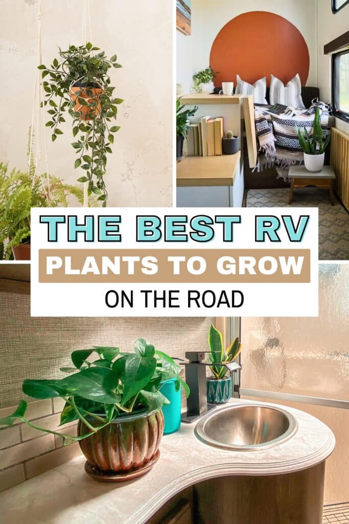 RV Plants Pin