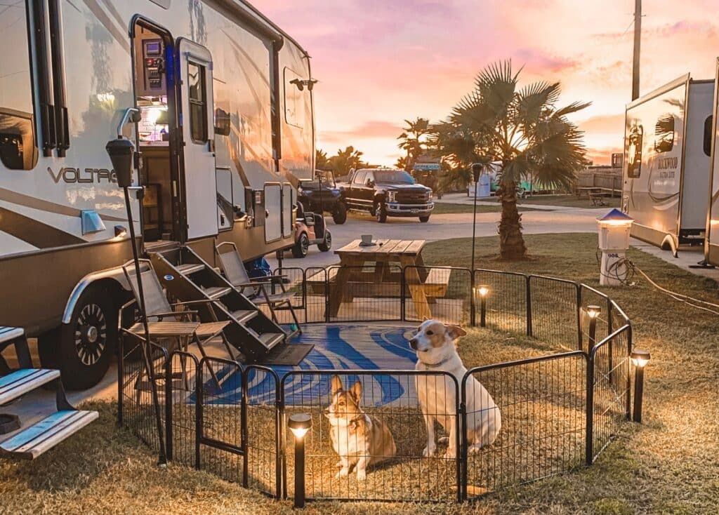 A dog fence is setup outside of a fifth wheel with lights around it. A large and small dog sit inside the fence at sunset.