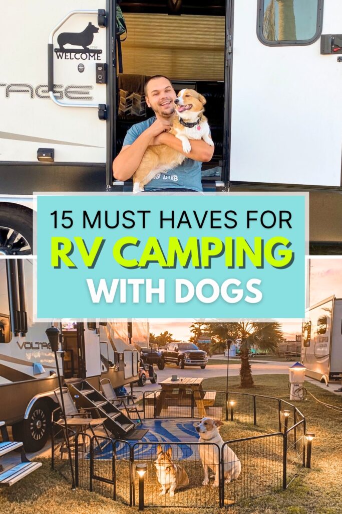 RV Camping Dogs PIN