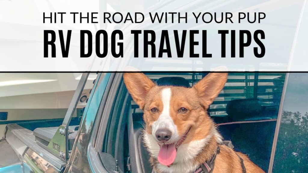 Hit the Road with your Pup - RV Dog Travel Tips Featured Image