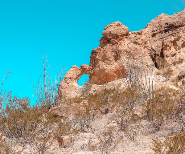 Small arch formation on the chimney trail with desert shrubs and flowers around it.
