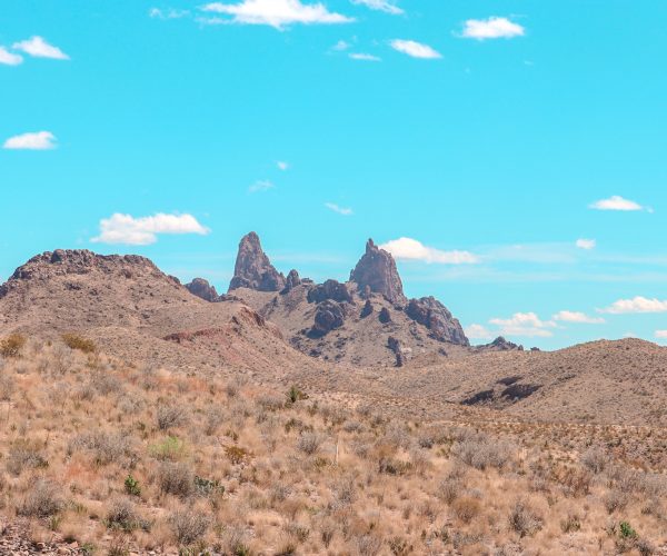 Photo of the popular Mule Ears landmark in Big Bend National Park on a sunny day. The Mule Ears are twin peaks resembling two mule ears sticking up in the desert. The Mule Ears Overlook is located along Ross Maxwell Scenic Drive. 
