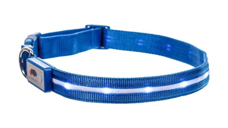 Blue LED dog collar
