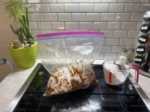 Chex mixture in bag to shake on powered sugar
