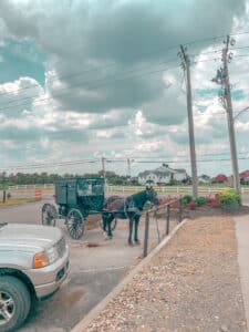 Amish horse and buggy tied up to post