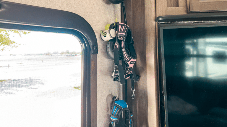 Hooks next to RV door holding dog harnesses and leashes.