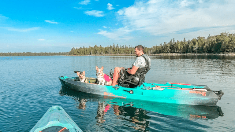 2 dogs wearing life jackets, sitting with a man in a kayak on a lake.