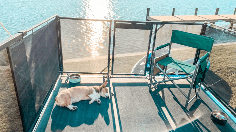 Dog laying on patio of toy hauler RV overlooking a dock and water.