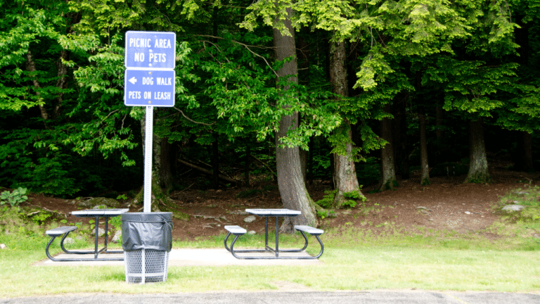 Rest stop area with picnic tables, dog walk, and trash can