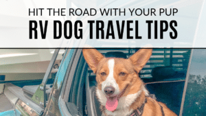 RV DOG TRAVEL TIPS