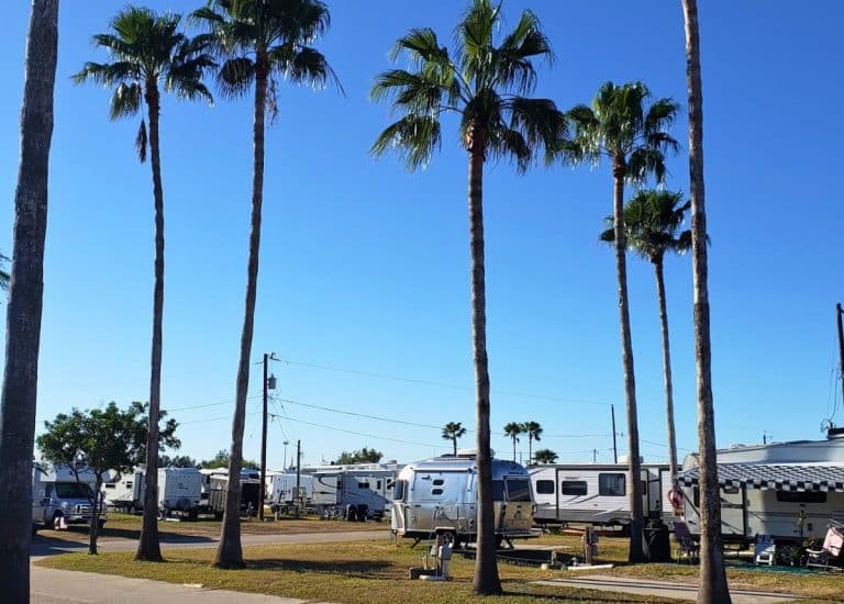 Small airstream travel trailer under palm trees with other RVs in background