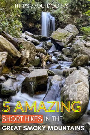5 amazing hikes Pinterest pin