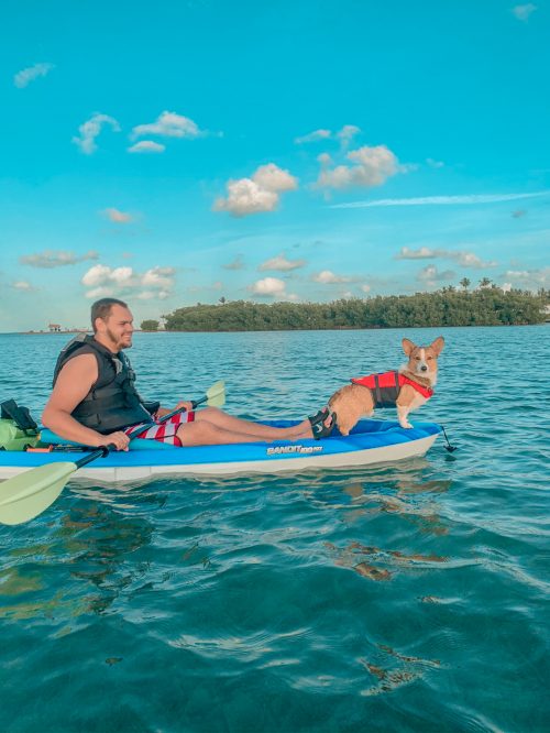 Man kayaking with dog on end of kayak