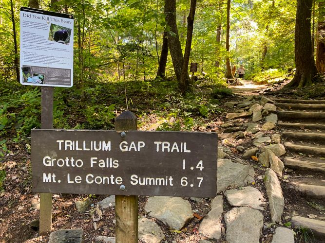 Trillium Gap Trailhead