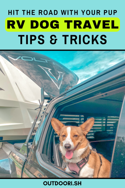 RVing With Dogs